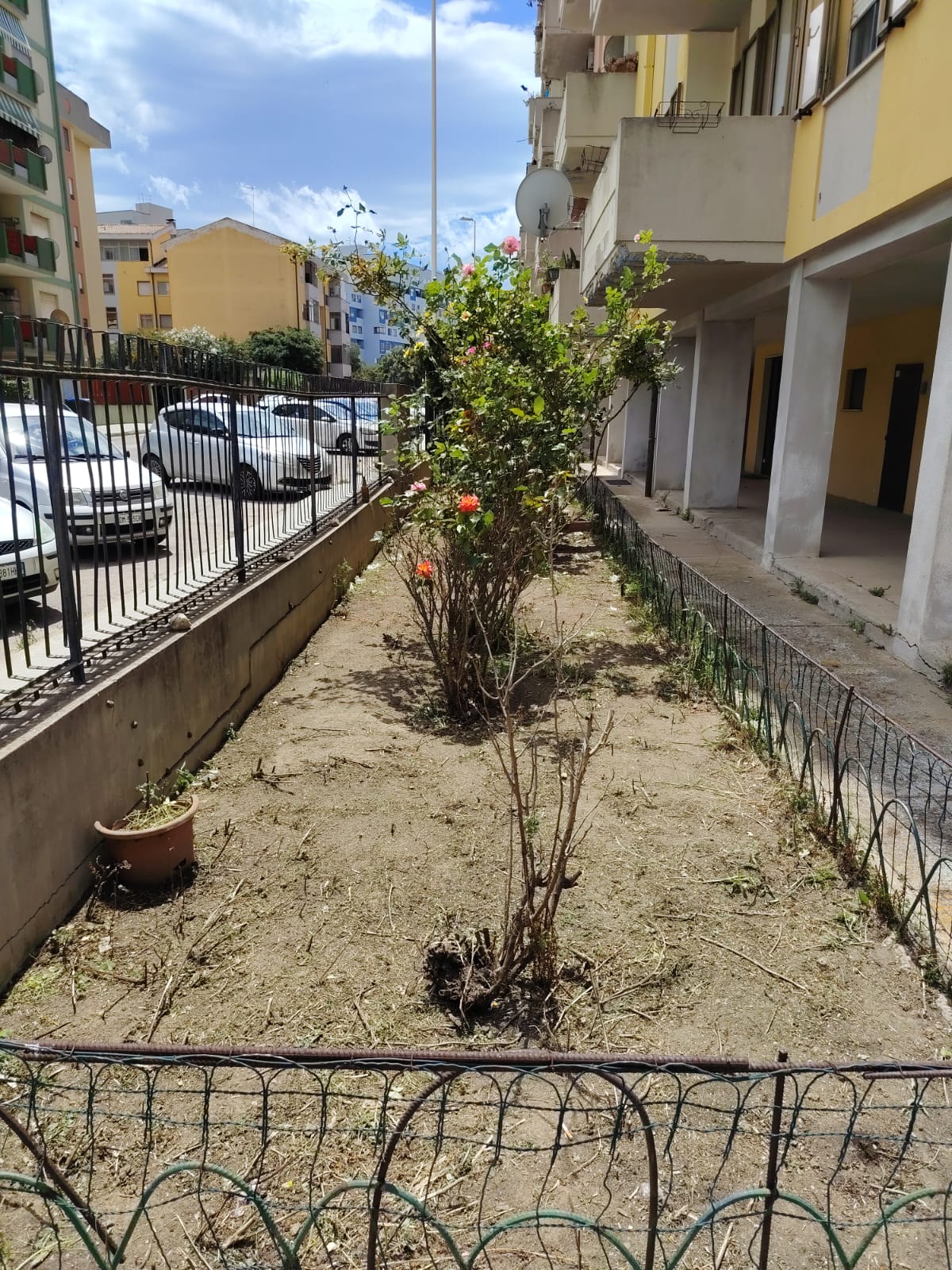 Pulizia giardini a Cagliari